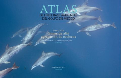 Atlas De L Nea Base Ambiental Del Golfo De M Xico Gulf Of Mexico