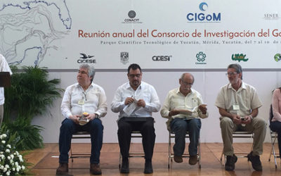 Se reúnen especialistas para proteger el Golfo de México