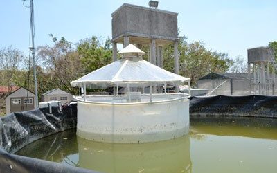 El frágil ecosistema del golfo de México