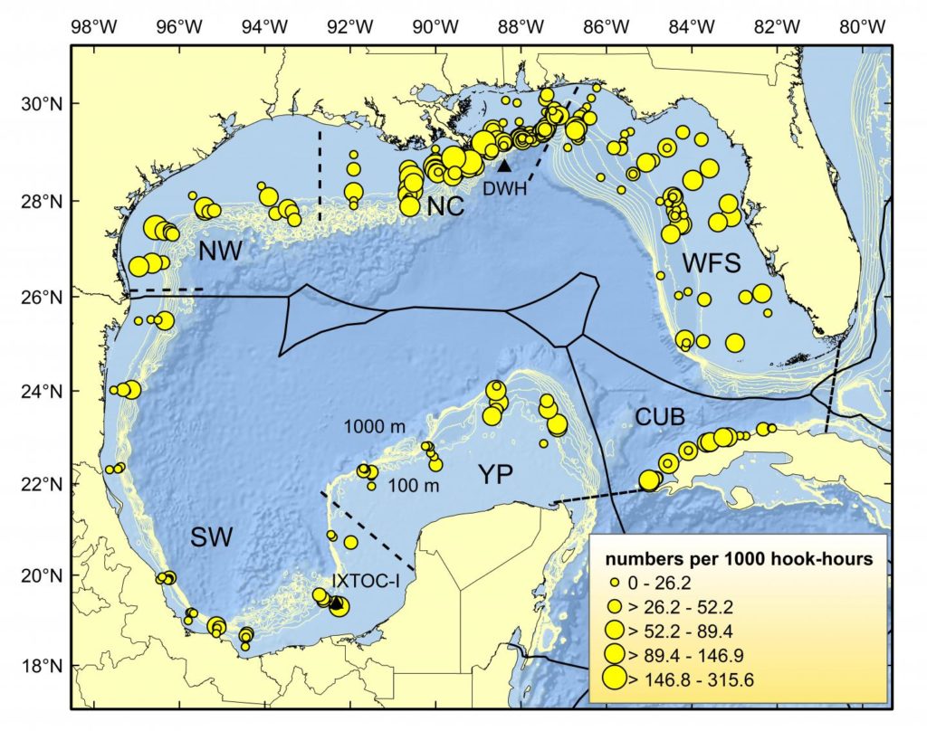 map-of-gulf-of-mexico-region-in-mexico-usa-welt-atlas-de