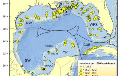 Assessing Marine Life, 8 Yrs. After Massive Gulf-Of-Mexico Oil Spill