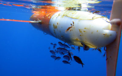 Conociendo el Golfo de México al detalle y en lo profundo