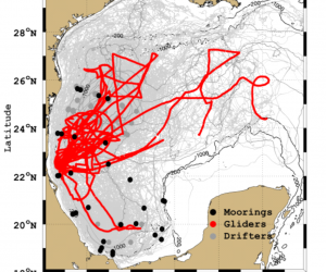 New insights into the circulation in the Western Gulf of Mexico from Eulerian, Lagrangian and Autonomous observing platforms