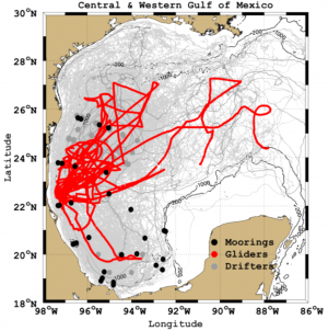 New insights into the circulation in the Western Gulf of Mexico from Eulerian, Lagrangian and Autonomous observing platforms