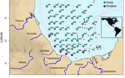 Bacterial Diversity and the Geochemical Landscape in the Southwestern Gulf of Mexico