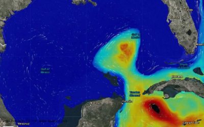 HRI Lands $153K Grant for Gulf of Mexico Loop Current System Database Management System