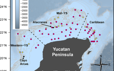 Metazoan parasite infracommunities of the dusky flounder (Syacium papillosum) as bioindicators of environmental conditions in the continental shelf of the Yucatan Peninsula, Mexico