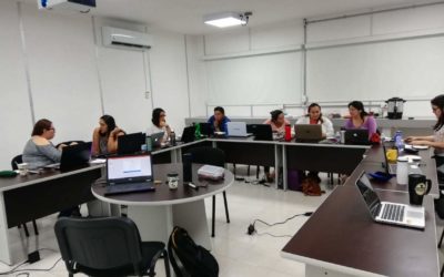 Taller de consulta de expertos para la parametrización de curvas de vulnerabilidad