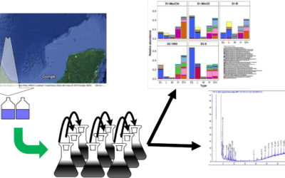 A succession of marine bacterial communities in batch reactor experiments during the degradation of five different petroleum types