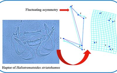 Fluctuating asymmetry of sclerotized structures of Haliotrematoides spp. (Monogenea: Dactylogyridae) as bioindicators of aquatic contamination