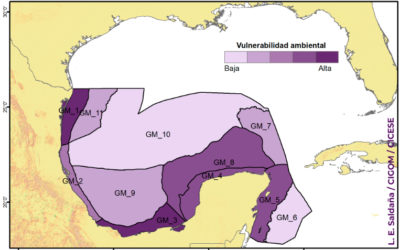 Se aproximan a conocer las regiones más vulnerables del Golfo de México ante un derrame de petróleo