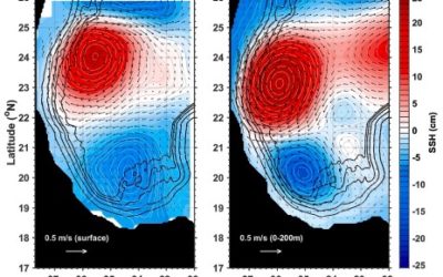 Influence of mesoscale eddies on cross-shelf exchange in the western Gulf of Mexico