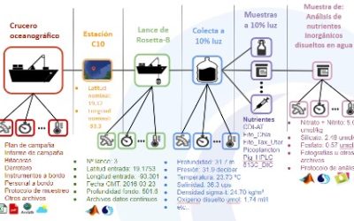 Sistema para la planeación, ejecución, almacenamiento y gestión de datos de cruceros oceanográficos, aportes desde el CIGoM