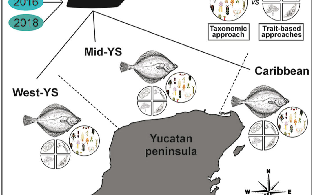 The performance of taxonomic and trait-based approaches in the assessment of dusky flounder parasite communities as indicators of chemical pollution