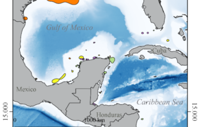 Critical In-Water Habitats for Post-Nesting Sea Turtles from the Southern Gulf of Mexico