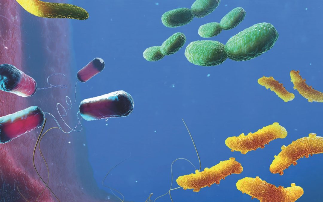 Ilustración de diferentes bacterias