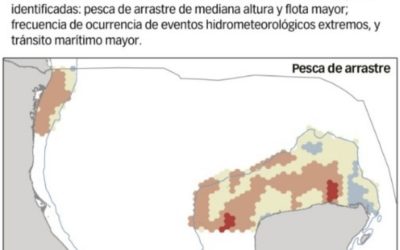 Almacenes de dióxido de carbono