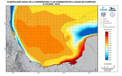 Circulación oceánica y oleaje: los efectos de estos procesos físicos complejos