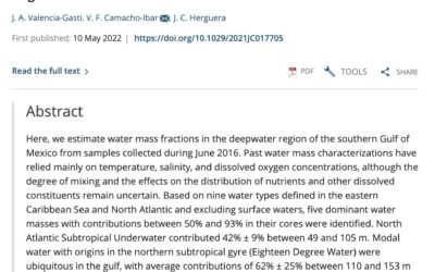 Water Mass Structure and Mixing Fractions in the Deepwater Region of the Gulf of Mexico