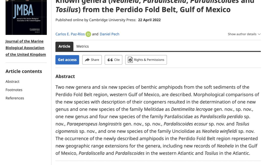 Two new genera (Paraeperopeus and Dentimelita) and four new deep-sea amphipod crustacean species of little-known genera (Neohela, Pardaliscella, Pardaliscoides and Tosilus) from the Perdido Fold Belt, Gulf of Mexico