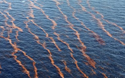 Bacterias combaten derrames de petróleo en el Golfo de México: Cigom