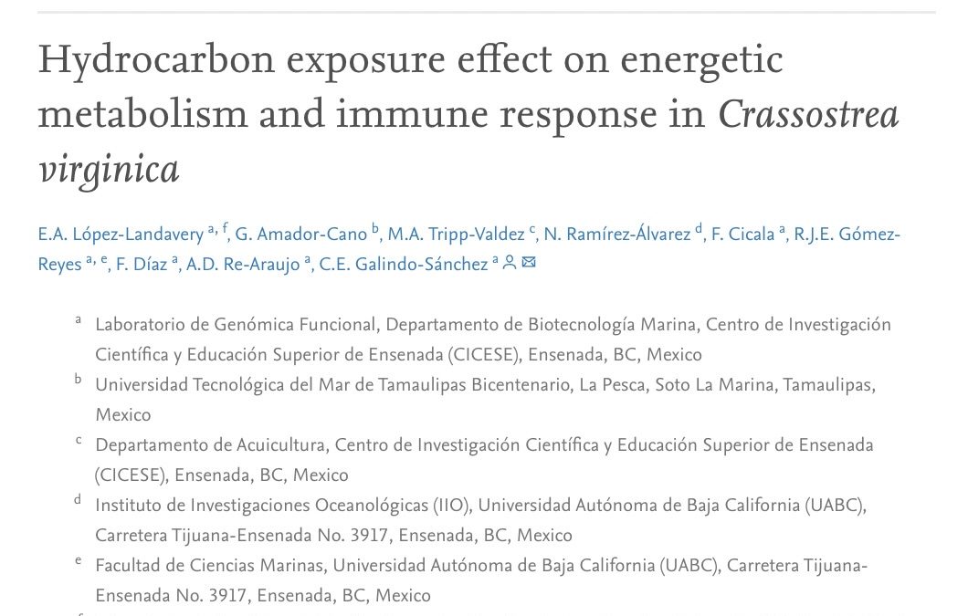 Hydrocarbon exposure effect on energetic metabolism and immune response in Crassostrea virginica
