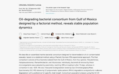 Oil-degrading bacterial consortium from Gulf of Mexico designed by a factorial method, reveals stable population dynamics