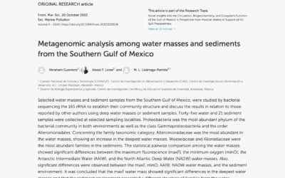 Metagenomic analysis among water masses and sediments from the Southern Gulf of Mexico
