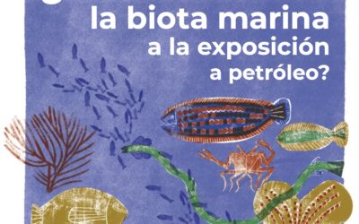 ¿Es vulnerable la biota marina a la exposición a petróleo?