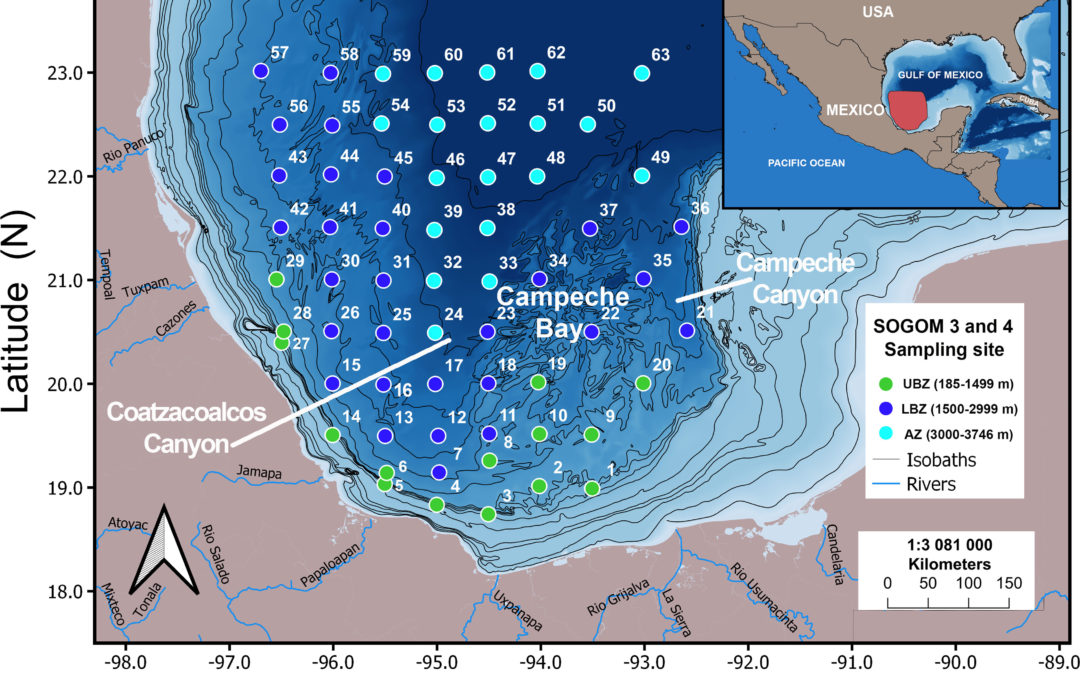 Macrofauna abundance and diversity patterns of deep sea southwestern Gulf of Mexico
