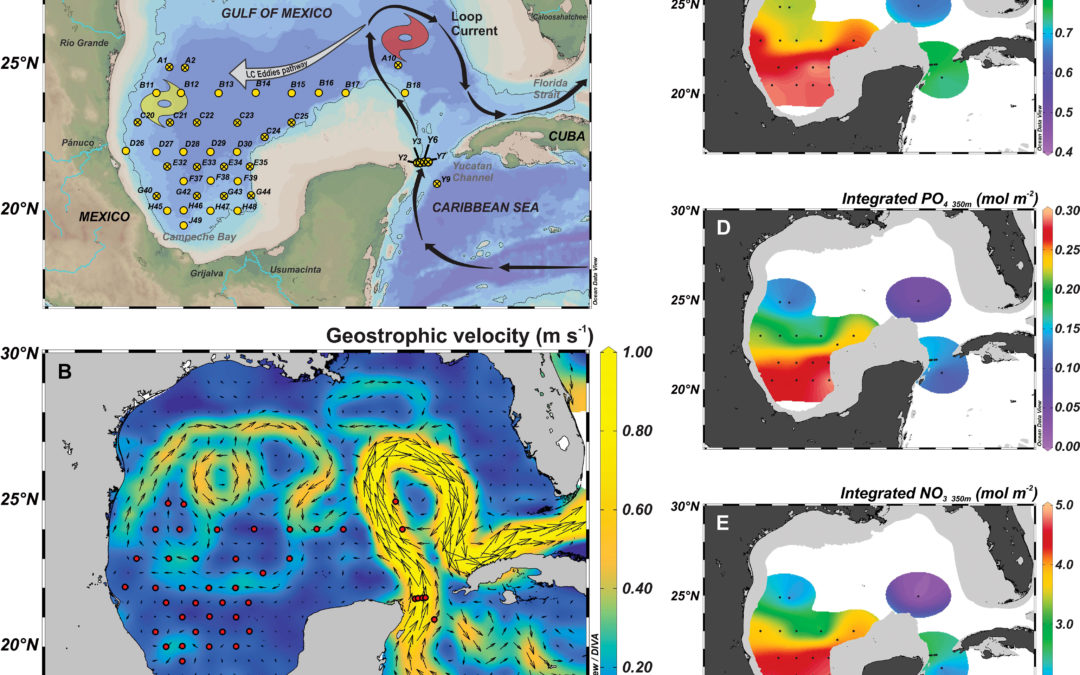 Spatial variability of dissolved nickel is enhanced by mesoscale dynamics in the Gulf of Mexico
