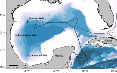 Semi-quantitative risk assessment of marine mammal oil exposure: A case study in the western Gulf of Mexico