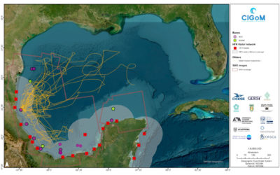 Ocean Monitoring and Prediction Network for the Sustainable Development of the Gulf of Mexico and the Caribbean