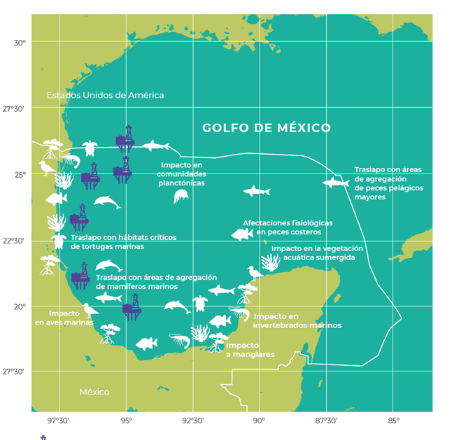 Afectación a los ecosistemas marinos por derrames de petróleo