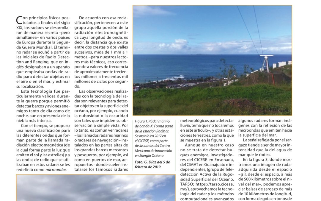 Microondas en el Caribe: los radares detectores de sargazo