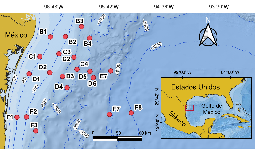 Fish community structure along a depth gradient at the Western Gulf of Mexico