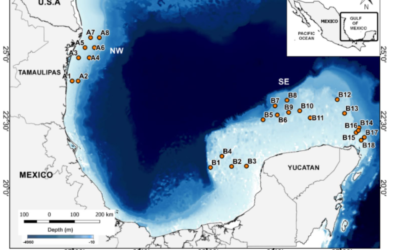 Transcriptional Response of Vitellogenin Gene in Flatfish toEnvironmental Pollutants from Two Regions of the Gulf of Mexico
