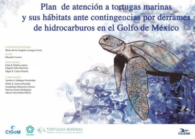 Plan de Atención a Tortugas Marinas y sus hábitats ante contingencias por derrames de hidrocarburos en el Golfo de México