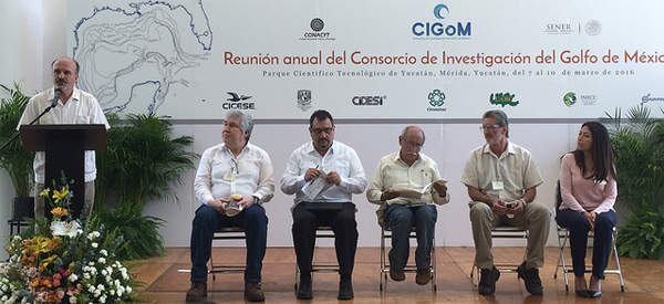 Se reúnen especialistas para proteger el Golfo de México