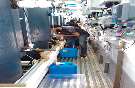 México y Canadá estudian impacto de derrames petroleros en vida microscópica