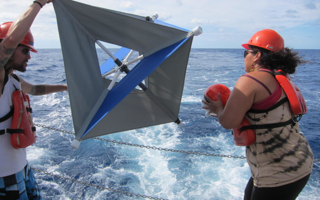 Científicos mexicanos investigan formas naturales para la degradación de hidrocarburos en el mar
