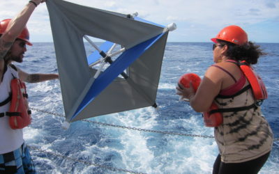Científicos mexicanos investigan formas naturales para la degradación de hidrocarburos en el mar