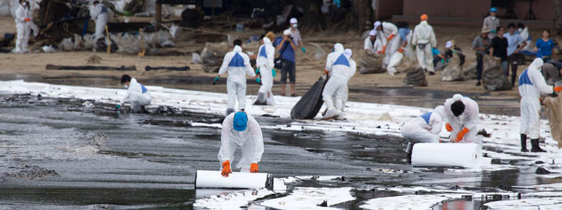 Científicos mexicanos estudian bacterias que evitan los derrames de petróleo