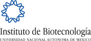 Logo IBT UNAM