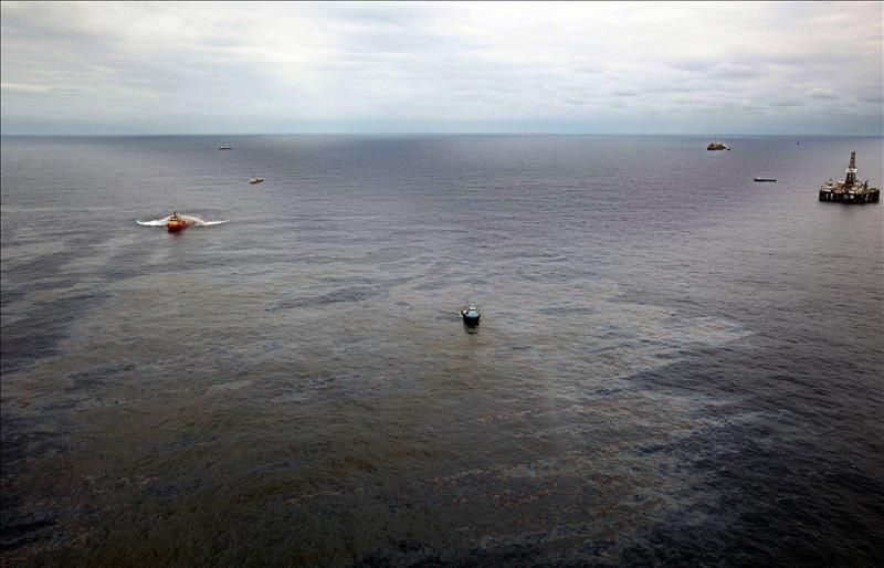 Elaboran proyecto para identificar bacterias degradadoras de petróleo en el Golfo de México