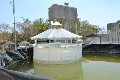El frágil ecosistema del golfo de México