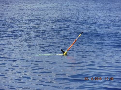 ¿Cómo funciona un glider?
