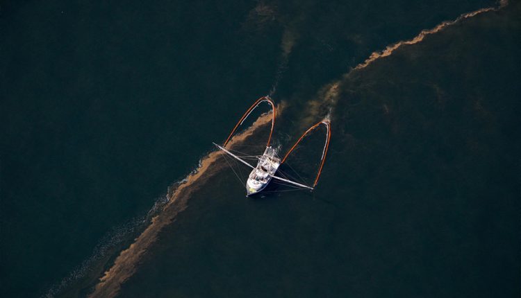 Fish Recover in the Gulf of Mexico, After 2010 Oil Spill