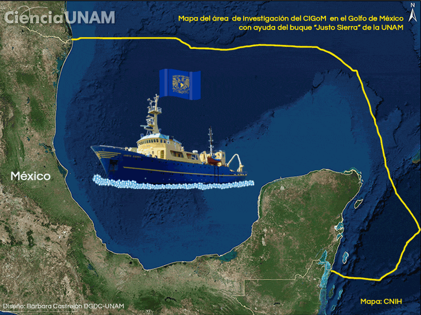 El gran proyecto científico en el Golfo de México