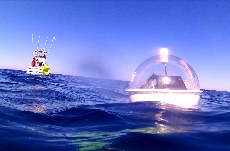 CIGoM: protección de ecosistemas marinos contra derrames de hidrocarburos